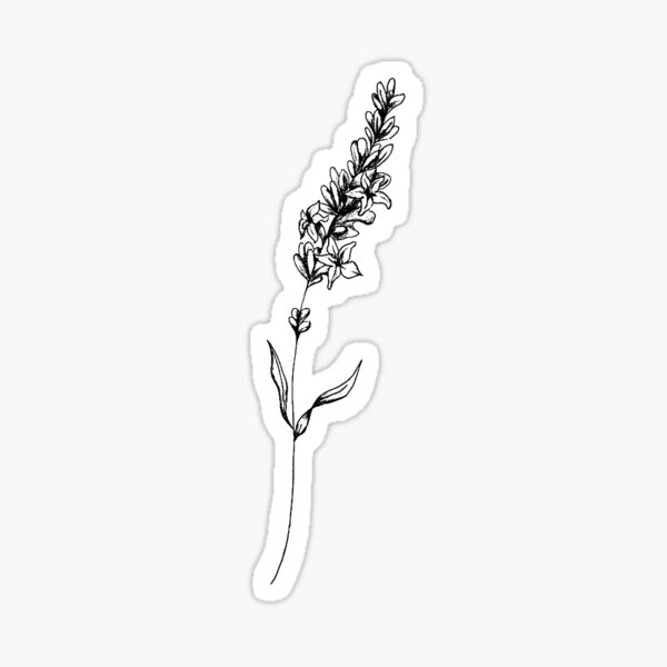 Lavender Illustration Sticker