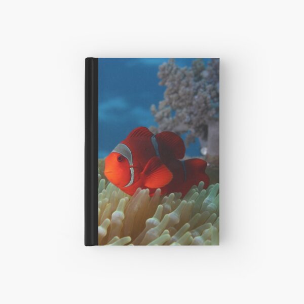 Spiny Cheeked Anemone Fish Hardcover Journal