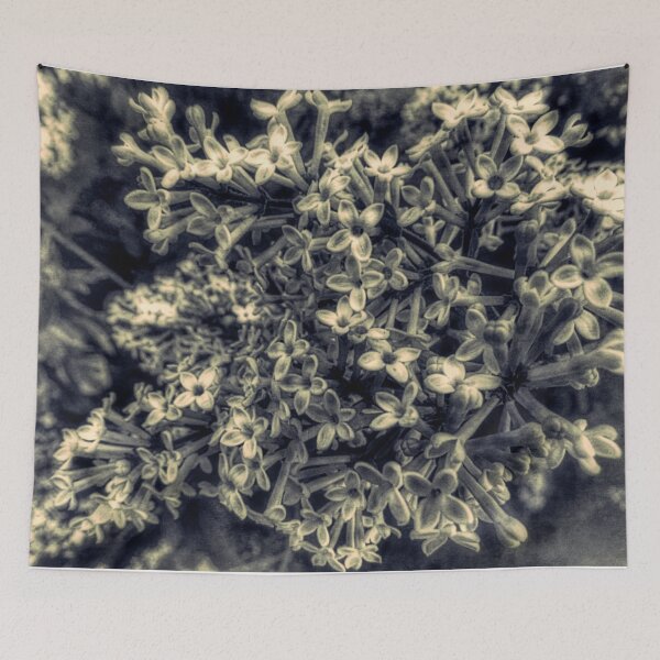 Item preview, Black and White Lilac Flower Modern Cottage Art A426 BW designed and sold by byNicol.