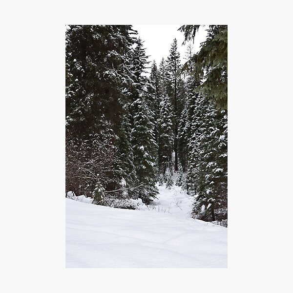 Item preview, Snowy Woods in the Mountains designed and sold by NaturesLostSoul.