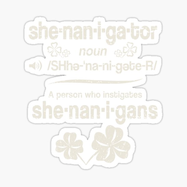 "Shenanigator Person Who Instigates Shenanigans Noun Definition St