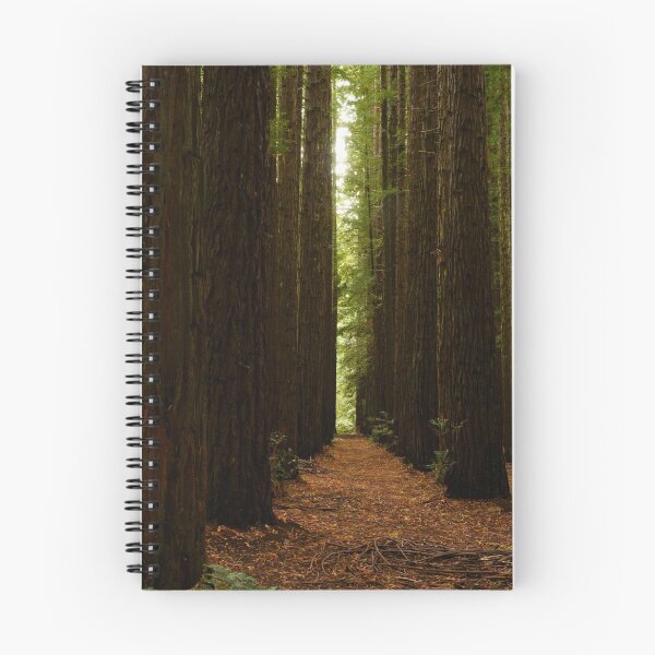Item preview, REDWOOD CORRIDOR designed and sold by kazaroodie.