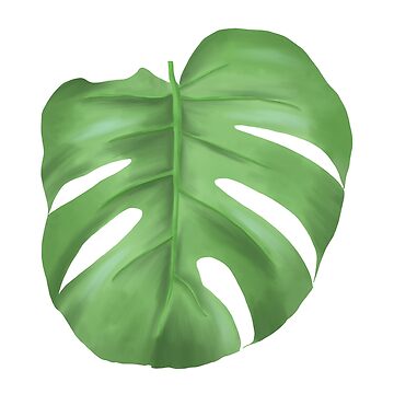 Artwork thumbnail, Monstera leaf by EllilaDesigns