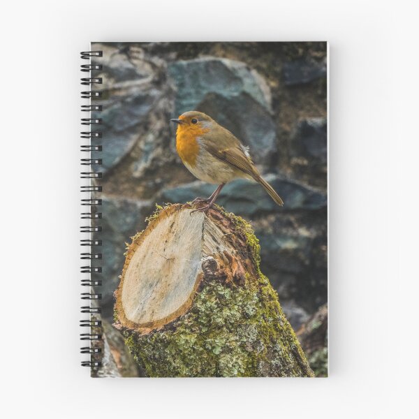Item preview, The Red Robin designed and sold by DafyddEm.