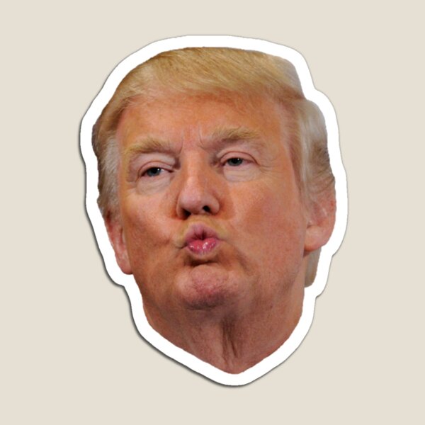 Donald Trump Meme Magnet