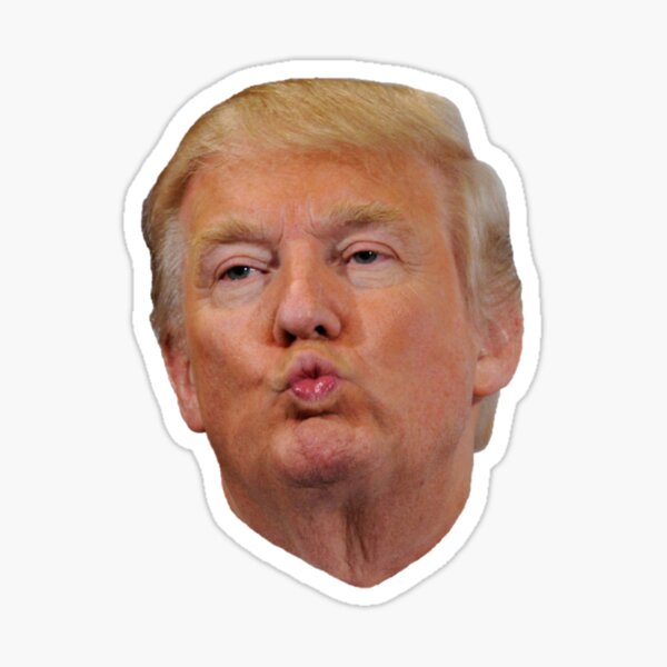 Donald Trump Meme Sticker