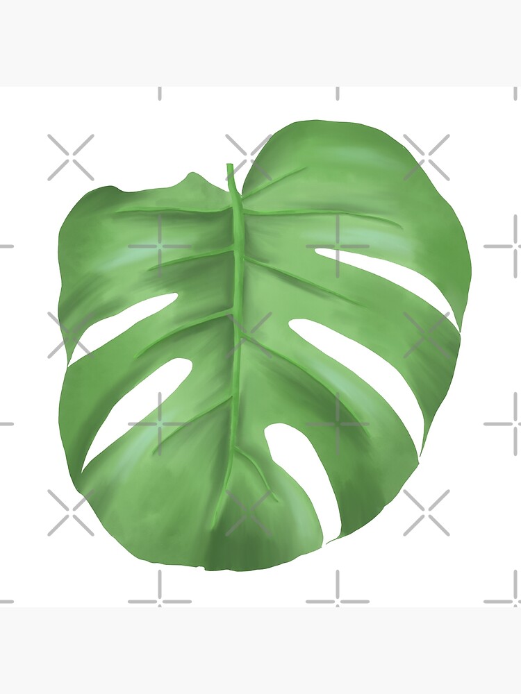 Monstera leaf by EllilaDesigns