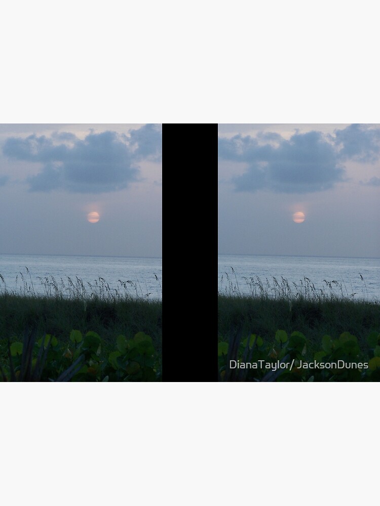 Sunrise At The Beach by DianaTaylor