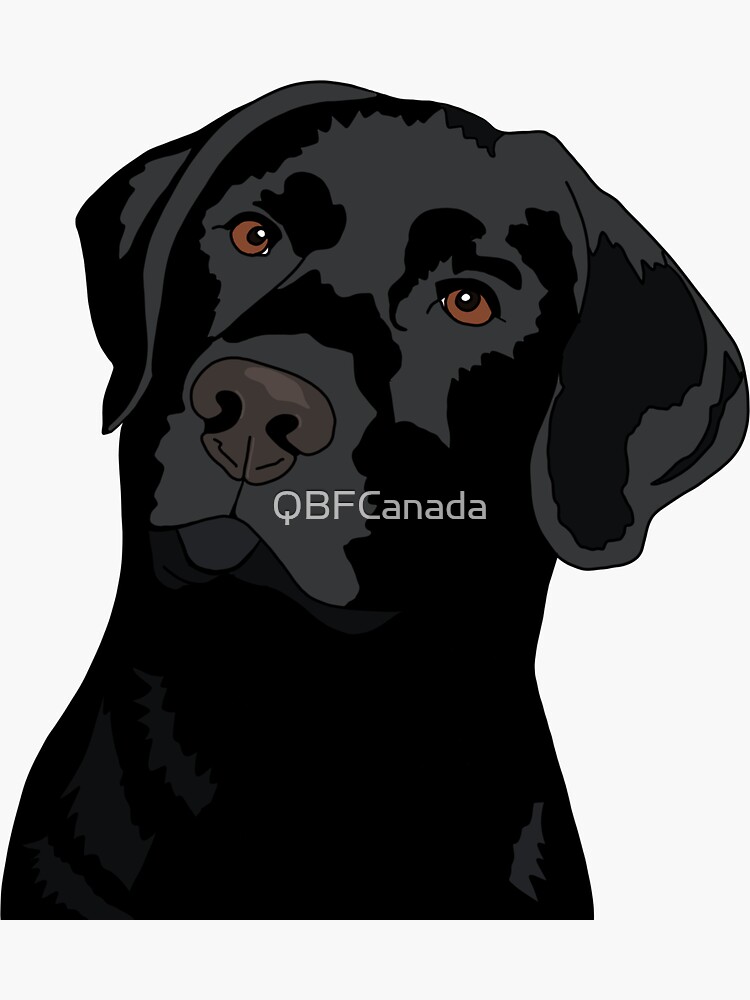 "Duke the Lab" Sticker for Sale by QBFCanada Redbubble