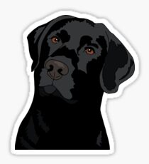 Duke the Lab Sticker
