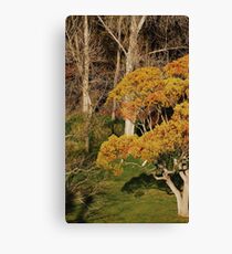 Tree Scene Canvas Print