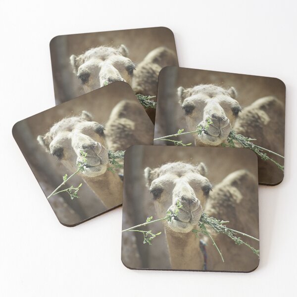 Item preview, Camel Eating Dinner designed and sold by MOBpubdesign.