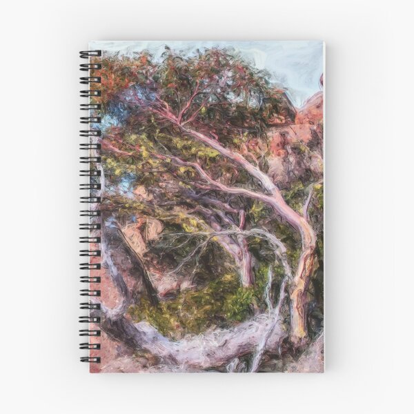 Item preview, Small Eucalypt, Panorama Track; Mt. Wellington/Kunanyi.  designed and sold by Matnev110.