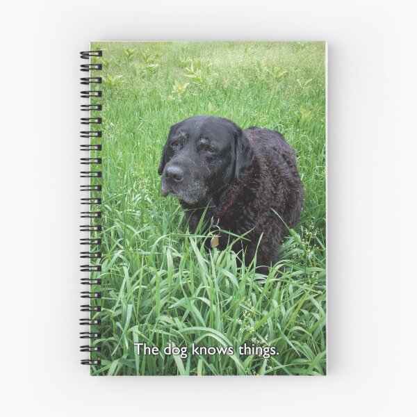 Item preview, The Dog Knows Things designed and sold by jsachs99.