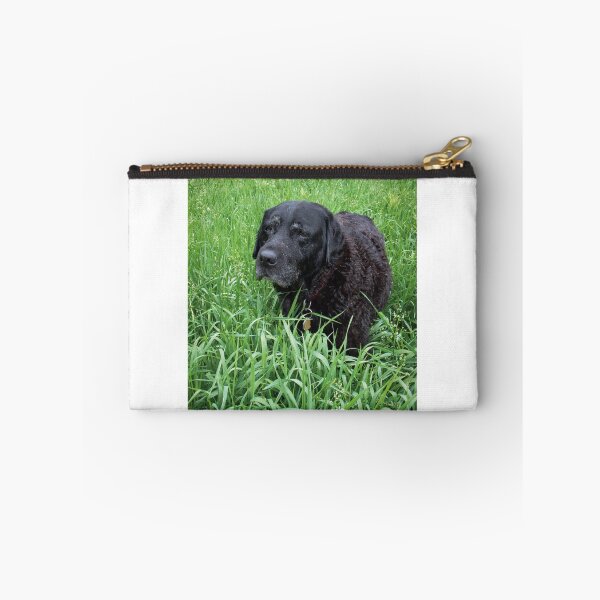 Item preview, The Dog Knows Things designed and sold by jsachs99.