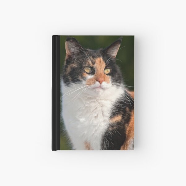 Calico Cat Hardcover Journal