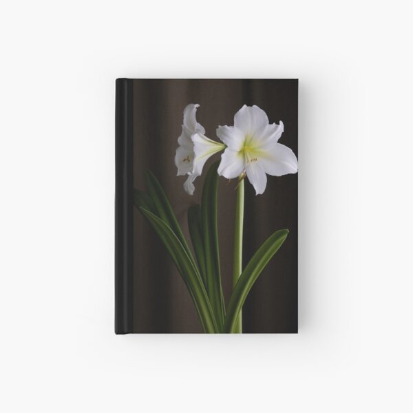 Amaryllis Hardcover Journal
