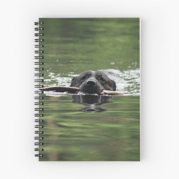 Item preview, Black Lab Brings the Stick designed and sold by jsachs99.