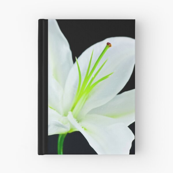 Item preview, Pure and Simple designed and sold by Claire Tennant.
