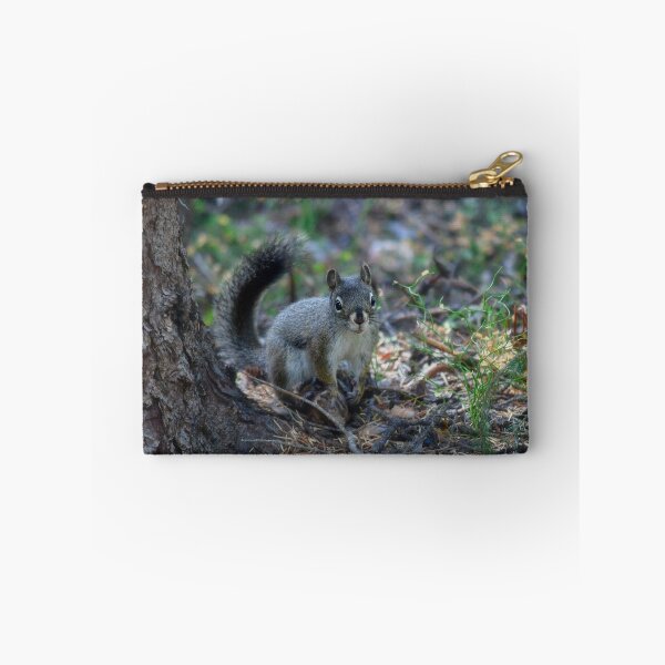 Item preview, Abert's Squirrel - Rocky Mountain National Park designed and sold by Karen Peron.