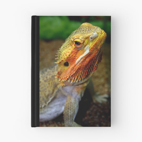 Aperçu de l'œuvre Draco créée et vendue par Gretchen  Mueller Steele.