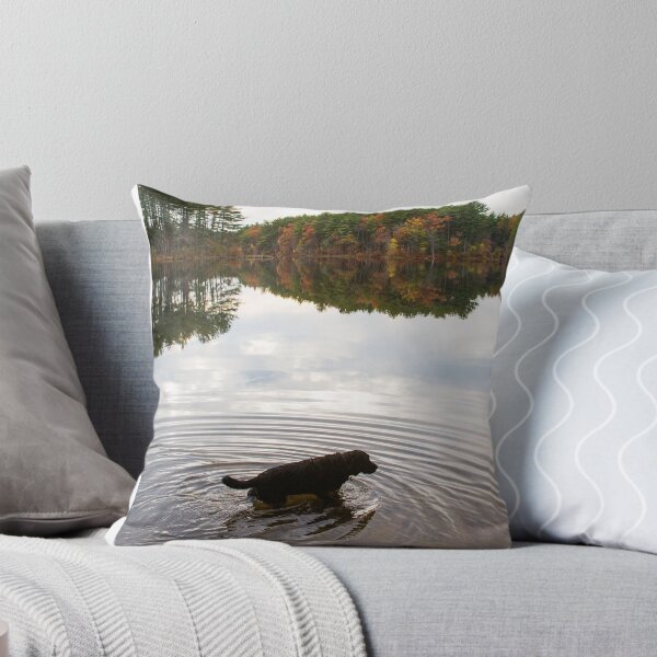 Item preview, Dog in Forest Pond designed and sold by jsachs99.