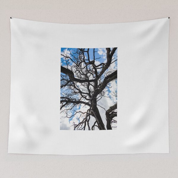 Item preview, Tree branches and Sky designed and sold by Tim McGuire Fine Art.