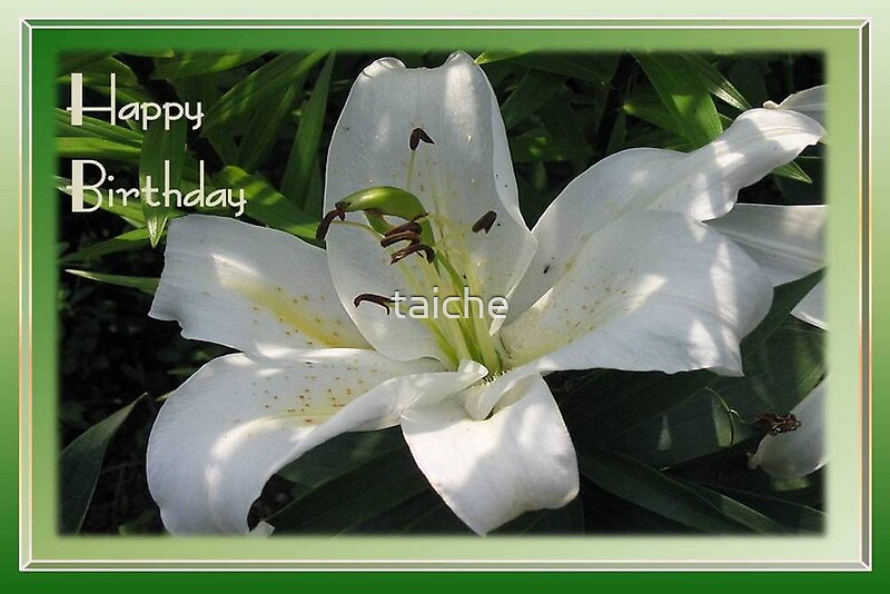 "Happy Birthday Greeting Card With A White Lily " by taiche Redbubble