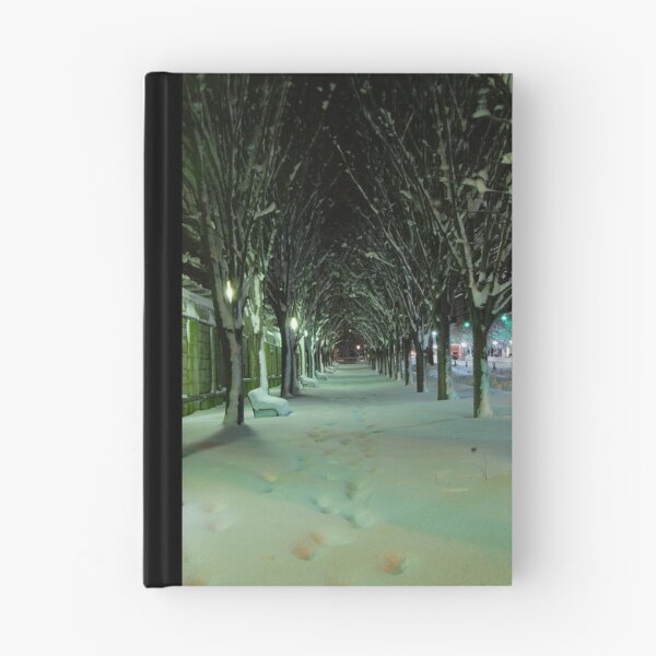 Artikelvorschau, Snow Tunnel  entworfen und verkauft von Michael Bender.