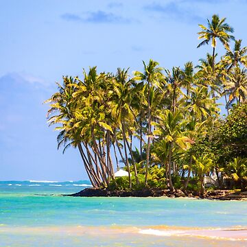 Artwork thumbnail, Hawaiian Paradise by Adrian Alford Photography