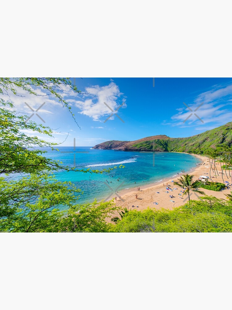 Thumbnail 3 of 3, Photographic Print, Hanauma Bay Hawaii designed and sold by AdrianAlford.