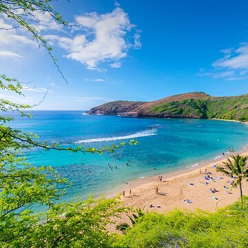 Artwork thumbnail, Hanauma Bay Hawaii by Adrian Alford Photography