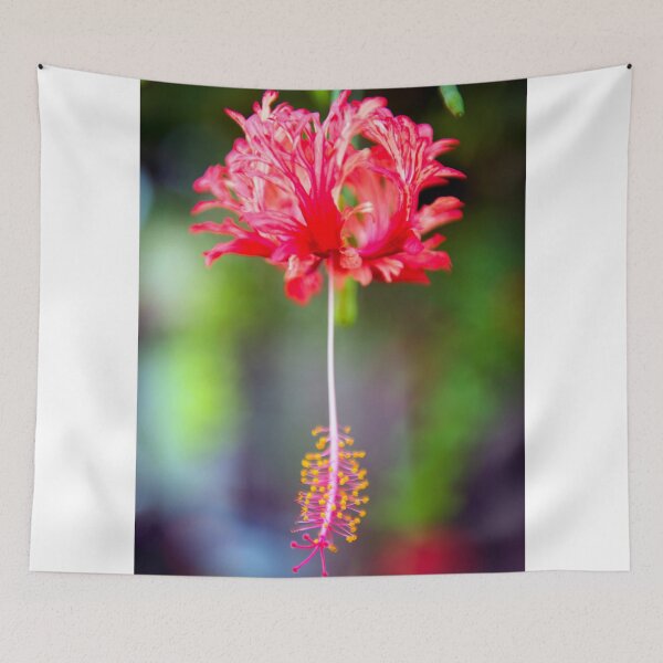 Item preview, Cook Islands Flower designed and sold by Adrian Alford Photography.