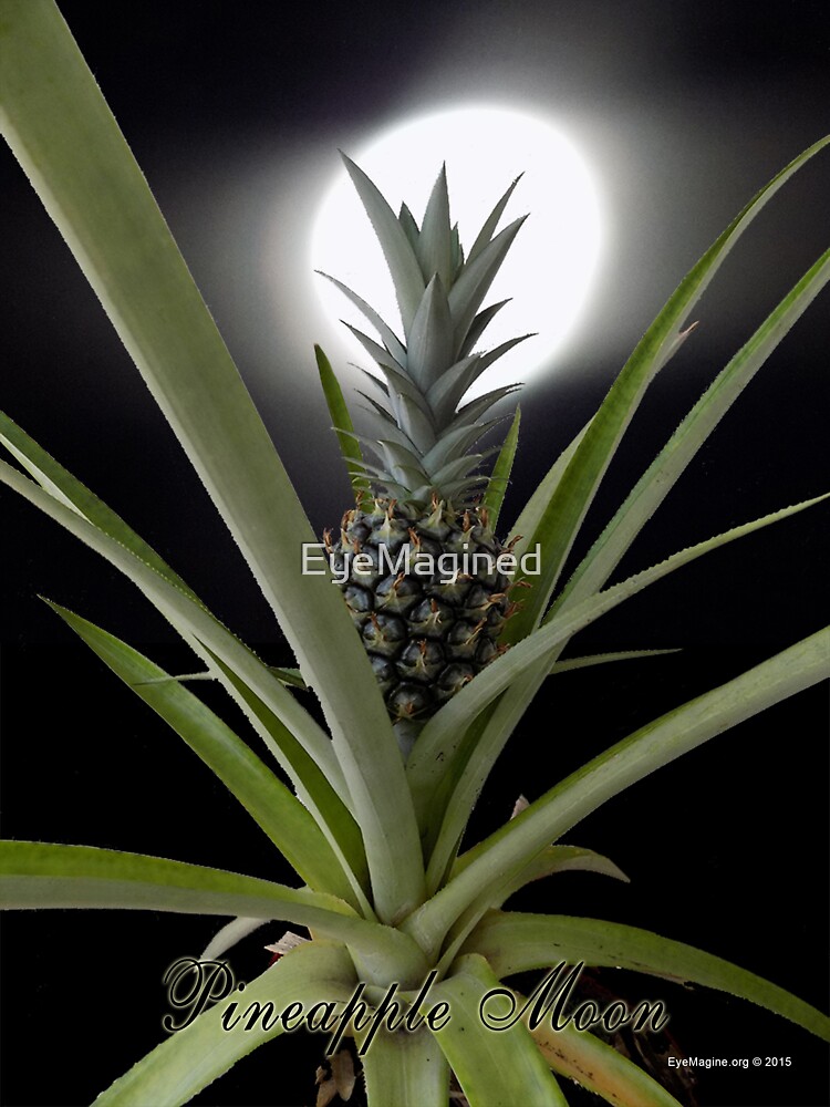 Pineapple Moon by EyeMagined
