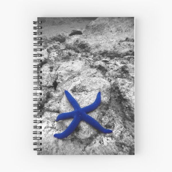 Item preview, Blue Starfish designed and sold by Adrian Alford Photography.