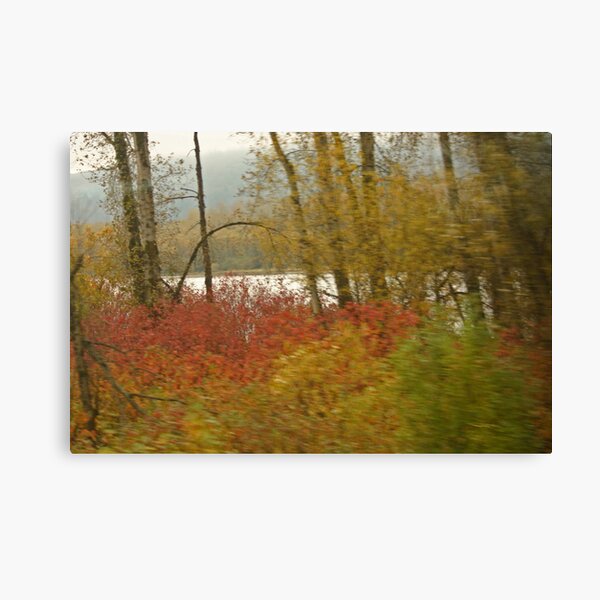 To The Distant Shore Canvas Print