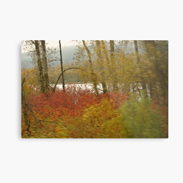To The Distant Shore Metal Print