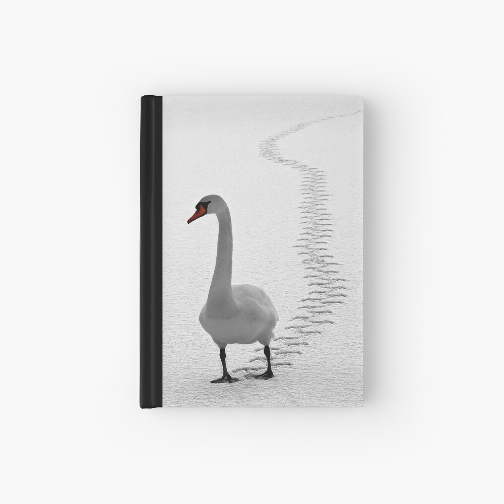 Tracks Hardcover Journal