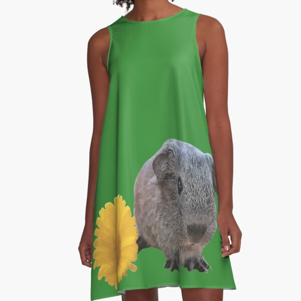 Guinea pig and daisy A-Line Dress