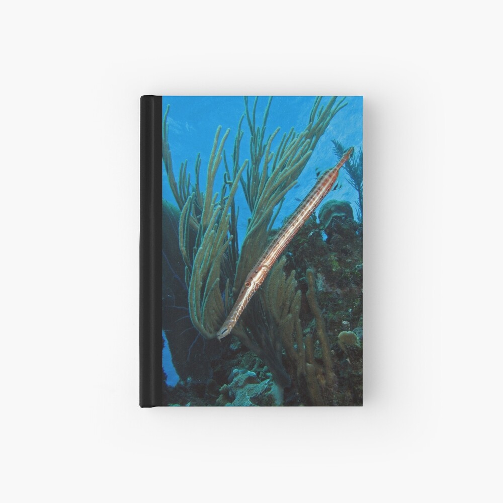 Angle of Repose Hardcover Journal