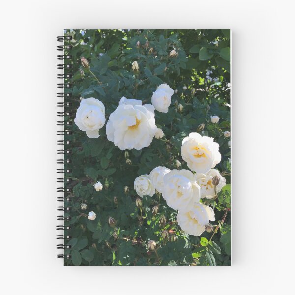 Item preview, White Roses  designed and sold by Leenasart.