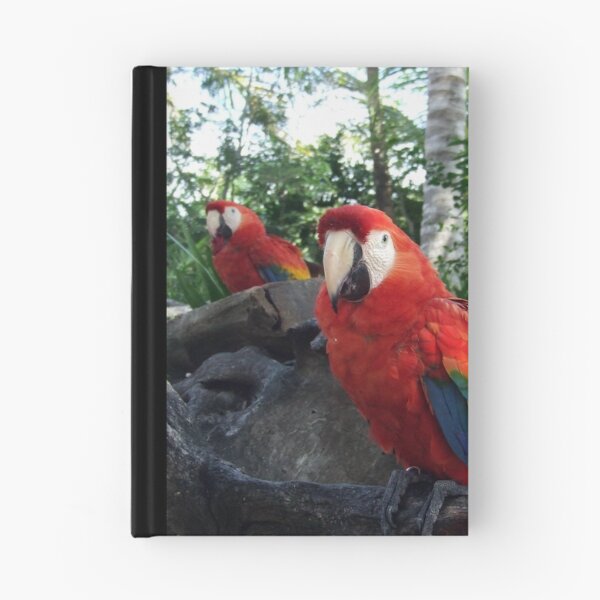 Item preview, Two of a Kind designed and sold by Chey Murray.