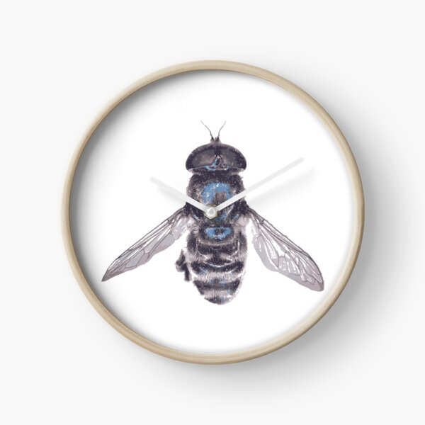 Hoverfly Eumerus niveitibia design Clock