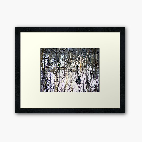 Birds Of A Feather... Framed Art Print