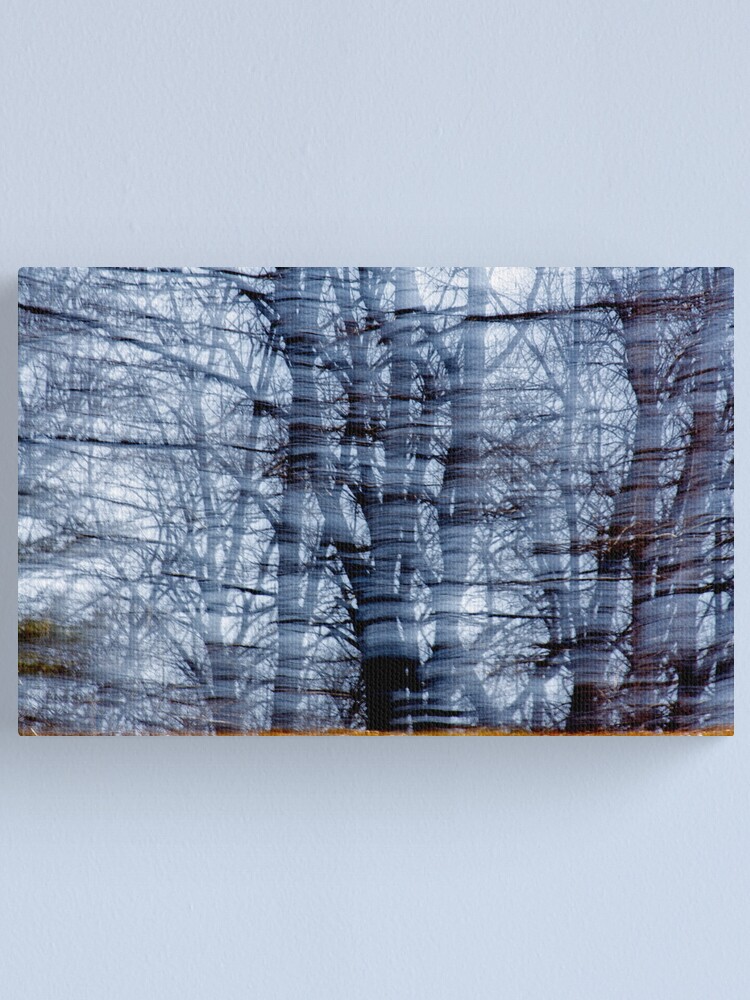 Alternate view of Visible Wind Canvas Print