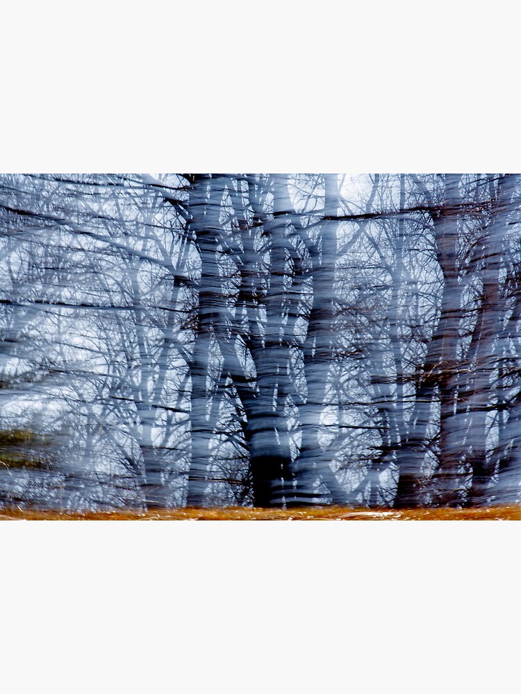 Visible Wind by LynnWiles