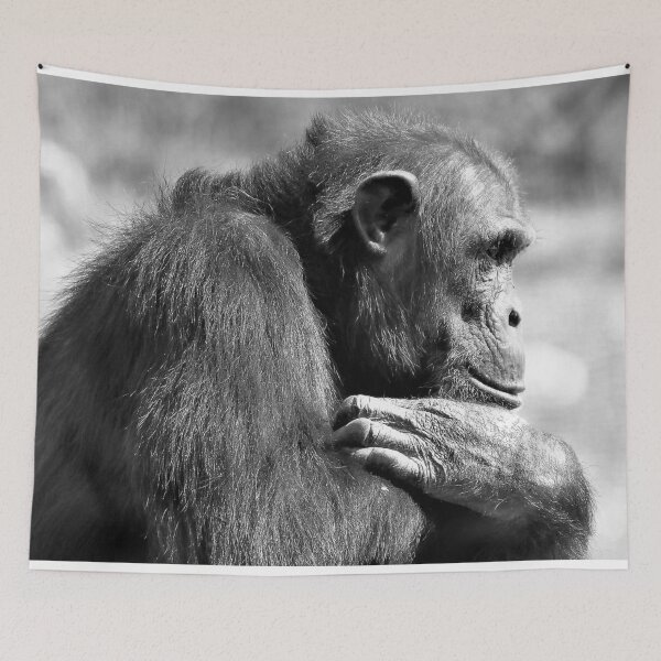 Item preview, Chimpanzee Monarto Zoo designed and sold by Linda Hammond.