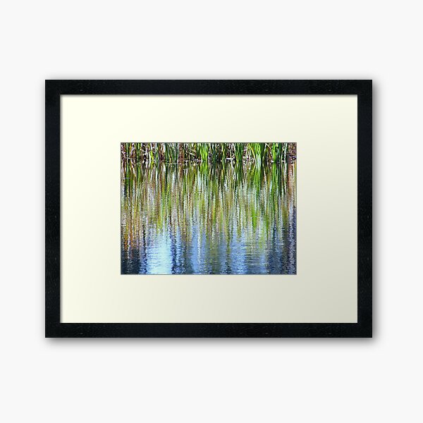 Reflecting Reeds Framed Art Print