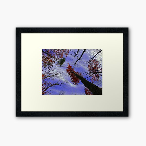 The View Above 3 Framed Art Print