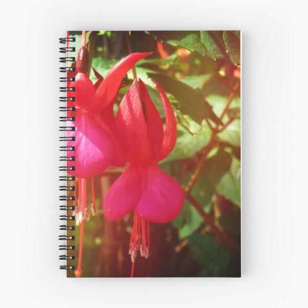 Item preview, Fuchsia from the Farm, Spring 2018 designed and sold by EdsMum.